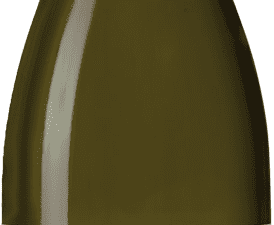 Pecorino Terre di Chieti IGT - Orsetto Oro