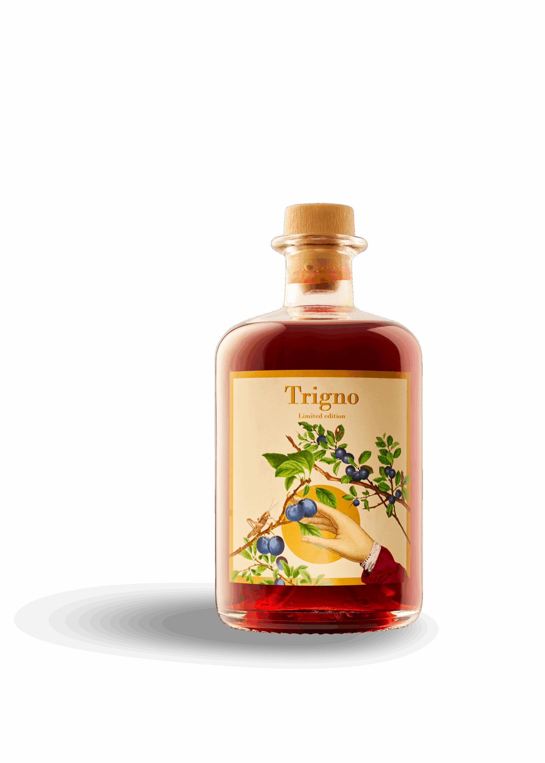 Trigno